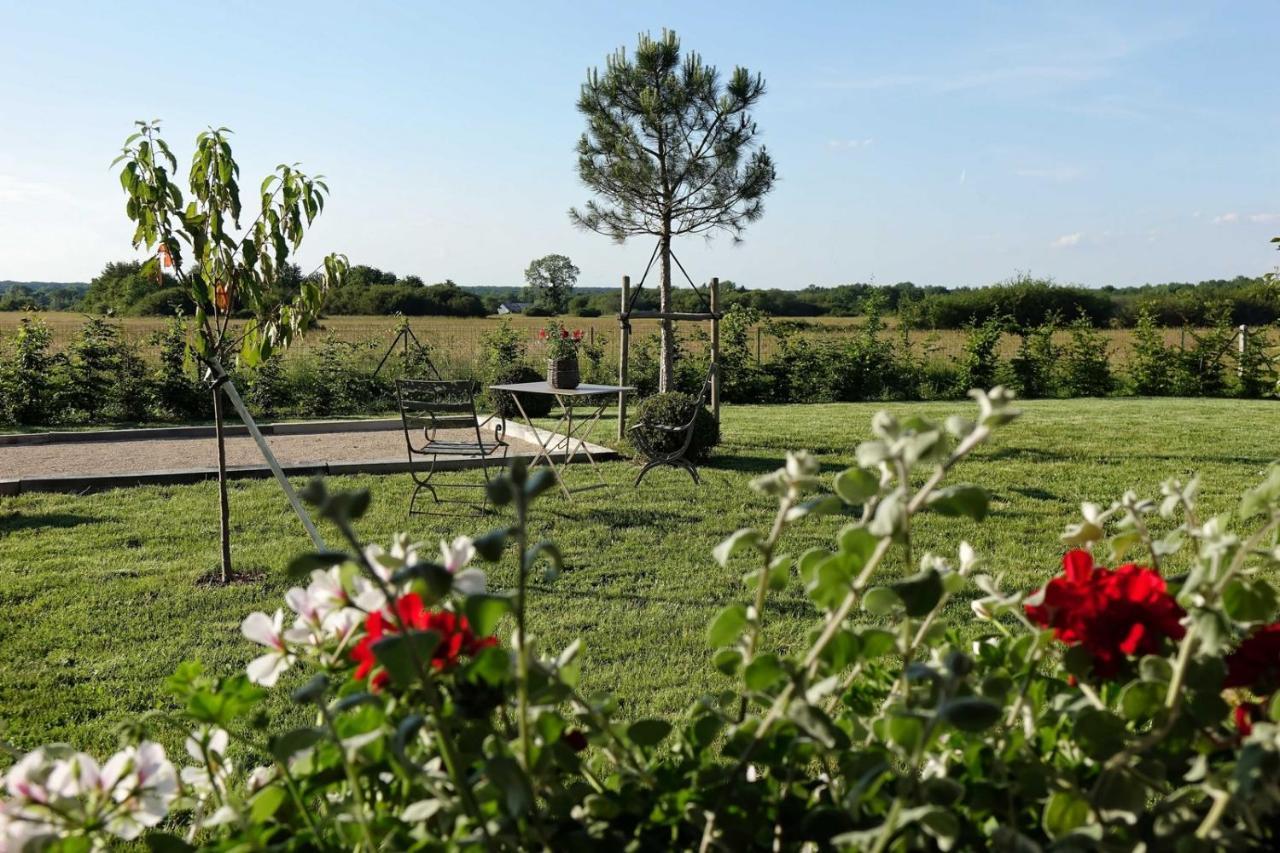 Gîte le Montillon Tour-en-Sologne Extérieur photo