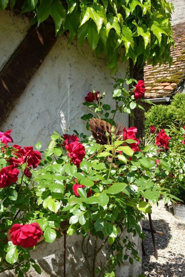 Gîte le Montillon Tour-en-Sologne Extérieur photo