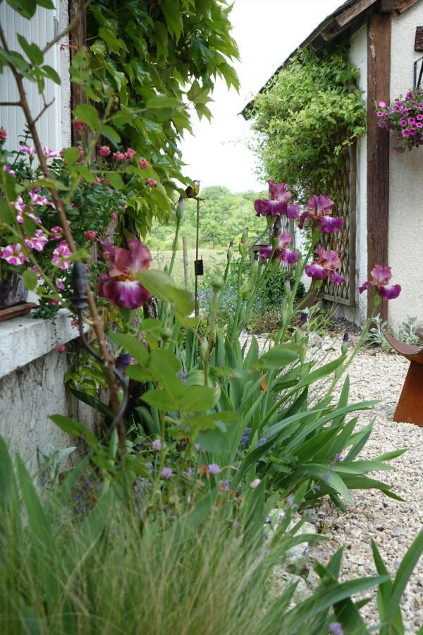 Gîte le Montillon Tour-en-Sologne Extérieur photo
