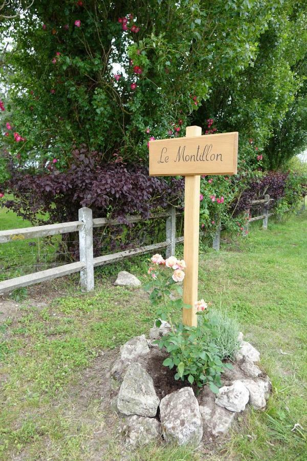Gîte le Montillon Tour-en-Sologne Extérieur photo